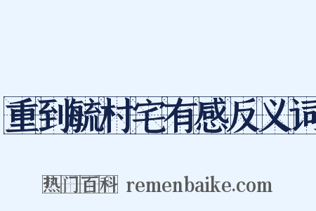重到毓村宅有感反义词是什么意思的图片